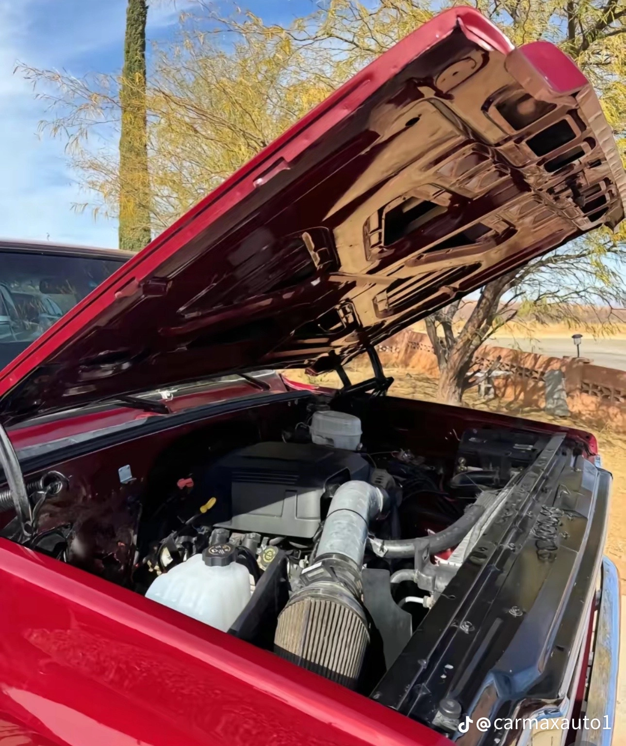 1980 Chevrolet C10